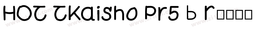 HOT TKaisho Pr5 B R字体转换